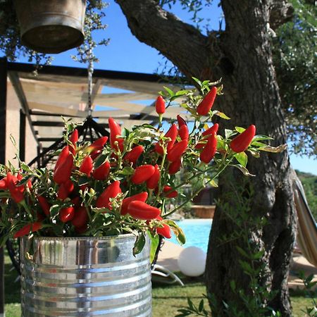 Il Podere Dell'Angelo Old Country House Belvedere Marittimo Luaran gambar